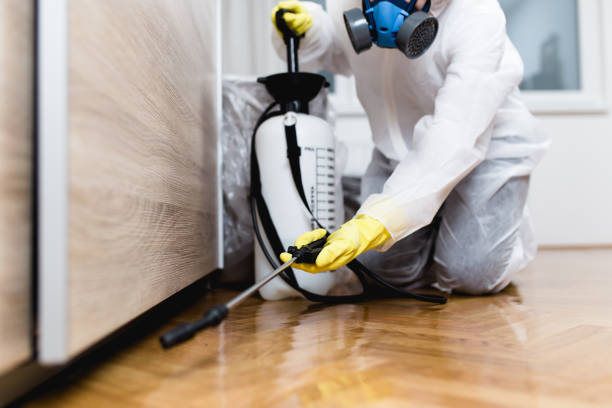 Best Mosquito Control Services  in Eagle Mountain, UT