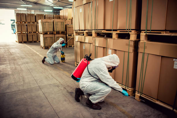 Best Pest Removal Services  in Eagle Mountain, UT
