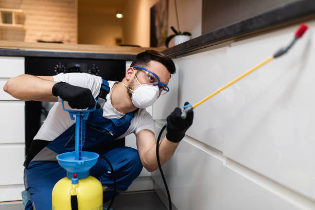 Best Pest Inspection Near Me  in Eagle Mountain, UT