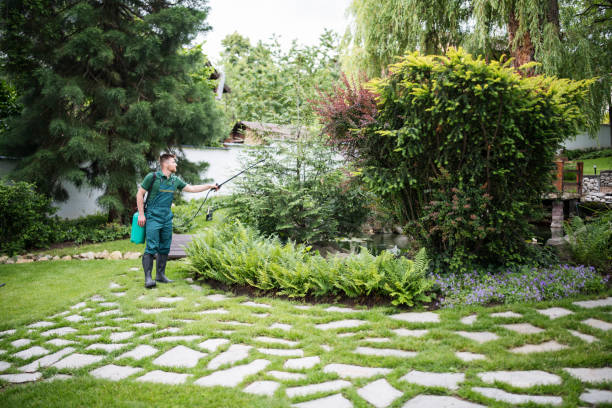 Best Pest Control Near Me  in Eagle Mountain, UT