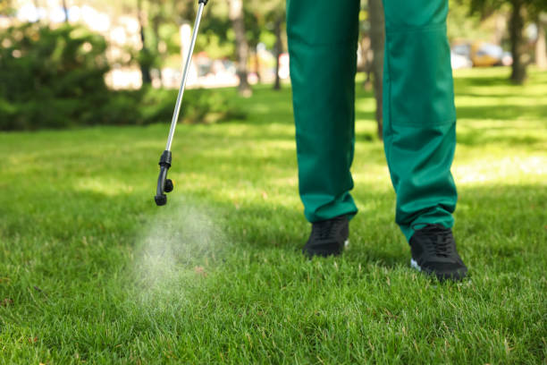 Best Wasp Removal Services  in Eagle Mountain, UT