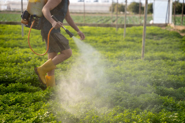 Best Emergency Pest Control  in Eagle Mountain, UT