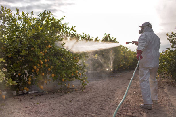 Professional Pest Control in Eagle Mountain, UT