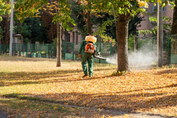 Best Termite Control Services  in Eagle Mountain, UT