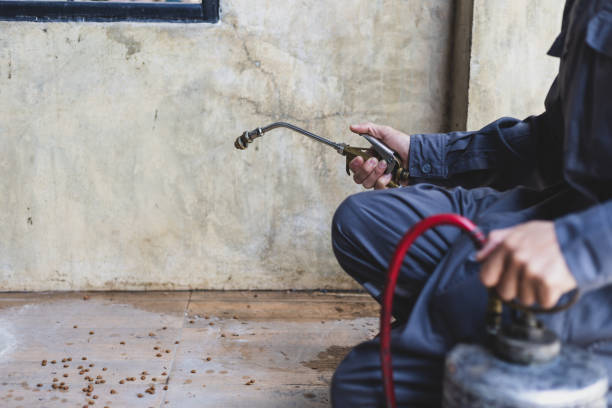 Best Local Pest Control Services  in Eagle Mountain, UT